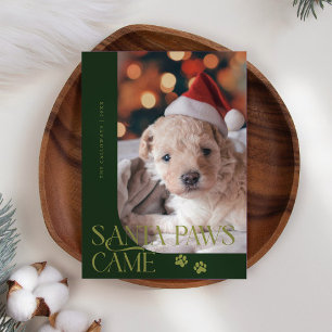 Cartes Pour Fêtes Annuelles Père Noël Paws Came Chien Photo Vert Noël