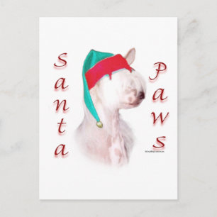 Cartes Pour Fêtes Annuelles Père Noël Paws Chinois