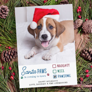 Cartes Pour Fêtes Annuelles Père Noël Paws Naughty Nice Pawsome Chien Photo po