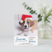 Cartes Pour Fêtes Annuelles Père Noël Paws Naughty Nice Pawsome Chien Photo po (Debout devant)