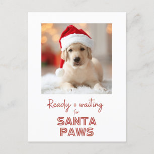 Cartes Pour Fêtes Annuelles Père Noël Paws - Noël Amoureux des chiens