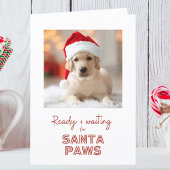 Cartes Pour Fêtes Annuelles Père Noël Paws prêt et en attente - Noël Amoureux 