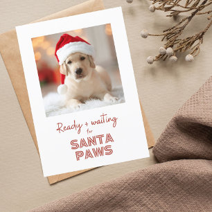 Cartes Pour Fêtes Annuelles Père Noël Paws prêt et en attente - Noël Amoureux