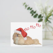 Cartes Pour Fêtes Annuelles Père Noël Pekingese (Debout devant)