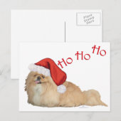 Cartes Pour Fêtes Annuelles Père Noël Pekingese (Devant / Derrière)