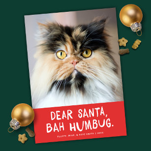 Cartes Pour Fêtes Annuelles Père Noël Père Noël Bah Humbug Funny Pet Photo