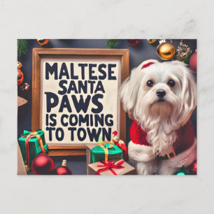 Cartes Pour Fêtes Annuelles Père Noël personnalisé Chien Maltais Joyeux Noël
