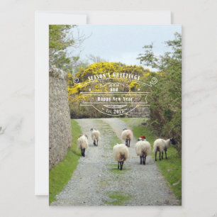 Cartes Pour Fêtes Annuelles père Noël Sheep