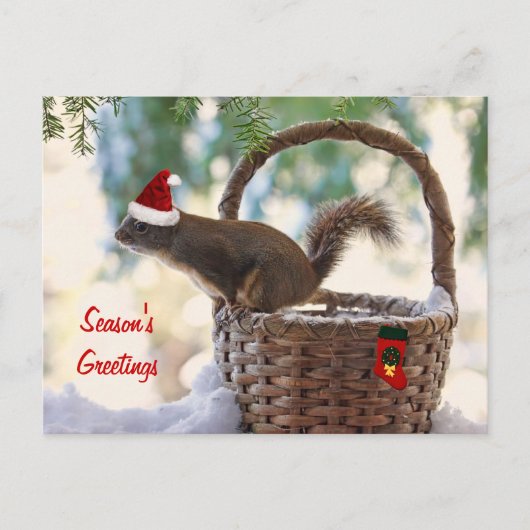 Cartes Pour Fêtes Annuelles Père Noël Squirrel dans le panier de Noël enneigé (Devant)