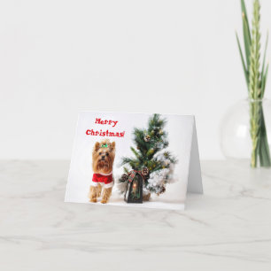 Cartes Pour Fêtes Annuelles Père Noël Yorkie avec l'arbre de Noël