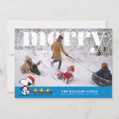 Cartes Pour Fêtes Annuelles Personalized Photo Holiday Snoopy & Friends (Devant)