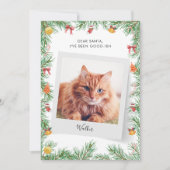 Cartes Pour Fêtes Annuelles Personnalisé Funny Pet Chat Cher Père Noël Noël (Devant)