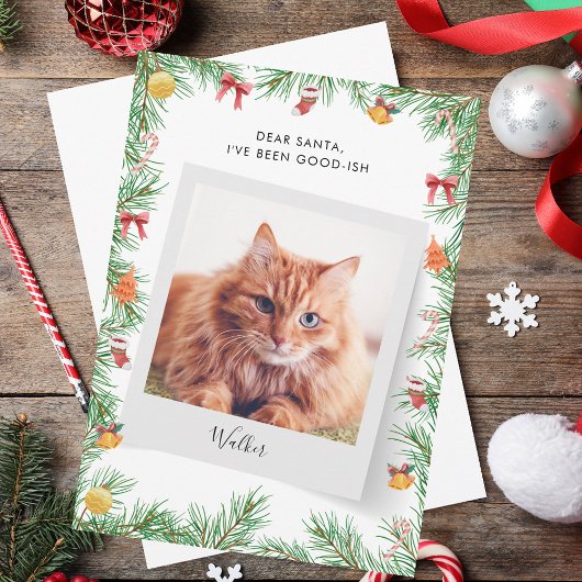 Cartes Pour Fêtes Annuelles Personnalisé Funny Pet Chat Cher Père Noël Noël