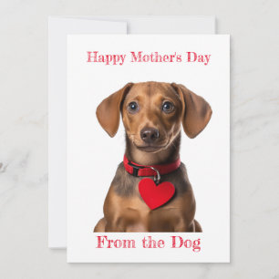 Cartes Pour Fêtes Annuelles Personnaliser Dachshund Coeur chiot Fête des mères