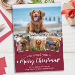 Cartes Pour Fêtes Annuelles Personnalized 4 Pet Photo Woof You Merry Christmas<br><div class="desc">Woof You A Merry Christmas ! Send cute and fun holiday greetings with this super cute personalized custom pet photo holiday card. Merry Christmas wishes from the dog with cute paw prints in a fun modern photo collage design. Add your dog's photographies ou family photos with the dog, and personalize...</div>