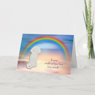 Cartes Pour Fêtes Annuelles Perte de Bichon Frise Rainbow Sympathy Card