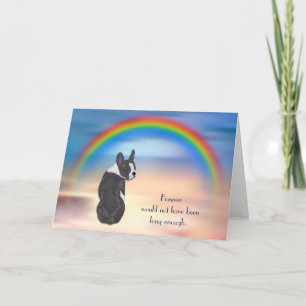 Cartes Pour Fêtes Annuelles Perte de Boston Terrier Rainbow Sympathy Card
