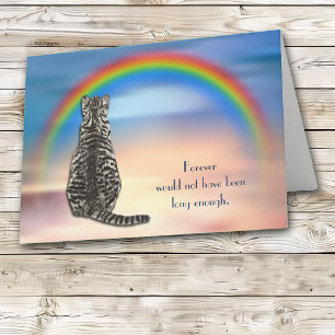 Cartes Pour Fêtes Annuelles Perte de gris Tabby Chat Rainbow Sympathy Card