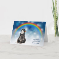 Perte de la sympathie du ciel nocturne du chien de