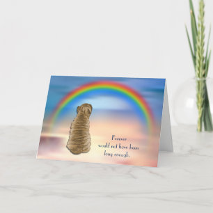 Cartes Pour Fêtes Annuelles Perte de Shar Pei Chien Rainbow Sympathy Card