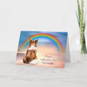 Cartes Pour Fêtes Annuelles Perte de Shetland Sheepdog Rainbow Sympathy Card
