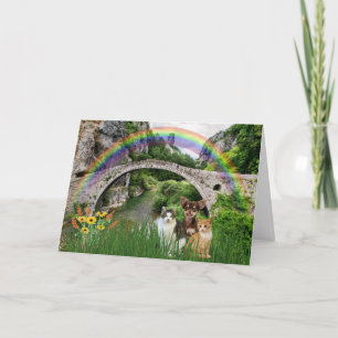 Cartes Pour Fêtes Annuelles Pet chat ou chien Rainbow Bridge Condolence Sympat