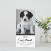 Cartes Pour Fêtes Annuelles Pet ou Chiot Noir Blanc Noël (Debout devant)