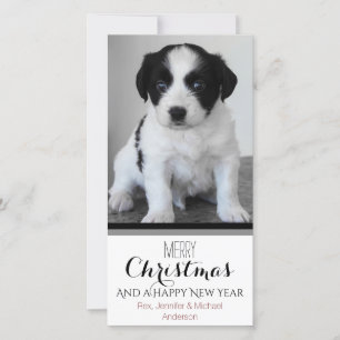 Cartes Pour Fêtes Annuelles Pet ou Chiot Noir Blanc Noël