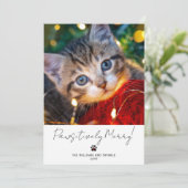 Cartes Pour Fêtes Annuelles Pet Photo 2 Picture Script Calligraphy Paw Print (Debout devant)