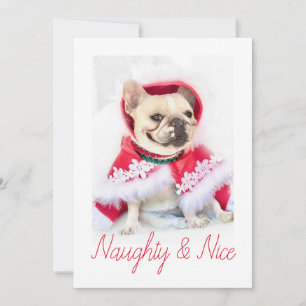 Cartes Pour Fêtes Annuelles Pet Star   Photo de chien personnalisé Naughty & N