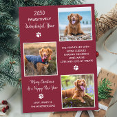 Cartes Pour Fêtes Annuelles Pet Year in Review Cute Modern 3 Chien Photo Colla