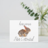 Cartes Pour Fêtes Annuelles Peter Cottontail Bunny Rabbit (Debout devant)