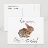 Cartes Pour Fêtes Annuelles Peter Cottontail Bunny Rabbit (Devant / Derrière)