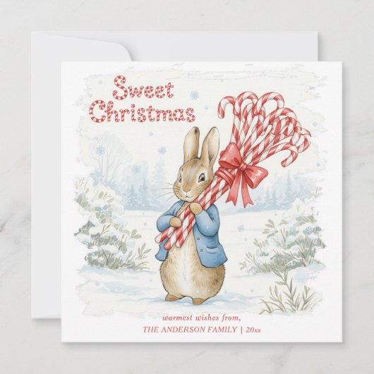 Cartes Pour Fêtes Annuelles Peter Rabbit Classic Woodland (Devant)