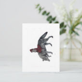 Cartes Pour Fêtes Annuelles Petit capot rouge (Debout devant)