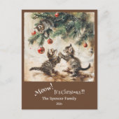 Cartes Pour Fêtes Annuelles Petit chatons sapin de Noël (Devant)
