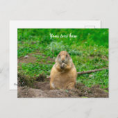 Cartes Pour Fêtes Annuelles Petit chien de prairie à queue noire mignon (Devant / Derrière)