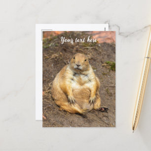 Cartes Pour Fêtes Annuelles Petit Chien des Prairies à queue noire