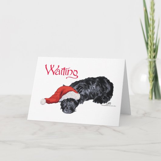 Cartes Pour Fêtes Annuelles Petit Chien écossais en attente de Père Noël (Devant)