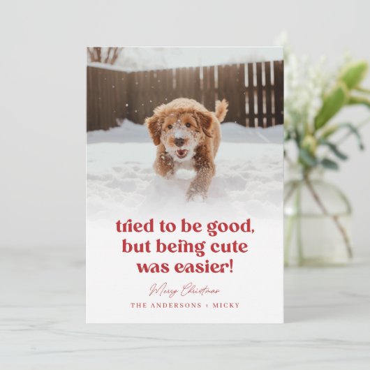 Cartes Pour Fêtes Annuelles Petit Chien Funny Animaux de compagnie Photo Noël (Debout devant)