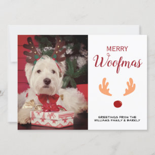Cartes Pour Fêtes Annuelles Petit chien Joyeux Woofmas Noël Photo