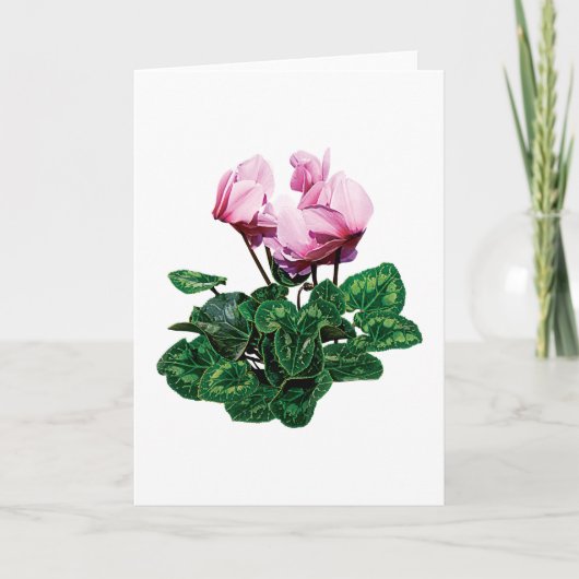 Cartes Pour Fêtes Annuelles Petit cyclamen rose (Devant)