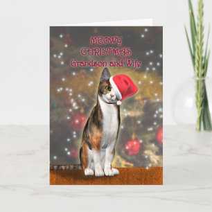 Cartes Pour Fêtes Annuelles Petit-fils et femme, un chat drôle dans un casquet
