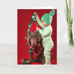 Cartes Pour Fêtes Annuelles Petit garçon décorant un chien