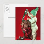 Cartes Pour Fêtes Annuelles Petit garçon décorant un chien (Devant / Derrière)