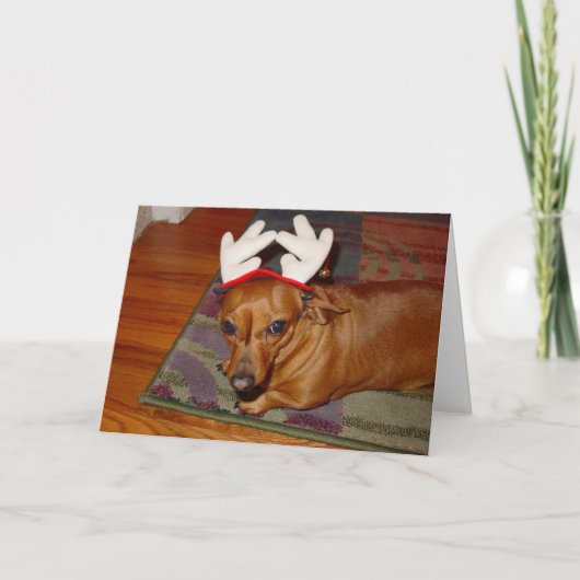 Cartes Pour Fêtes Annuelles Petit renne (Devant)