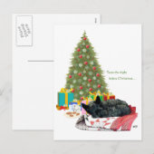 Cartes Pour Fêtes Annuelles Petit somme de Noël de Terrier d'écossais (Devant / Derrière)