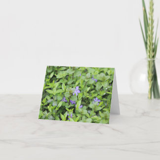 Cartes Pour Fêtes Annuelles Petites Fleurs pourpres