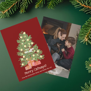 Cartes Pour Fêtes Annuelles Petites siestes drôles de chat ! Chat sur l'arbre