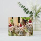 Cartes Pour Fêtes Annuelles Petits coyotes de Noël (Debout devant)